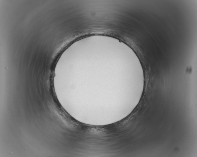 X0000112370346200909241155