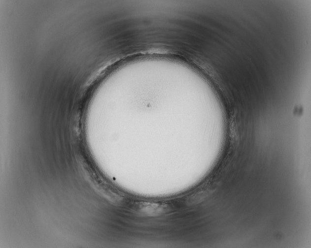 X0000112370347200909241155