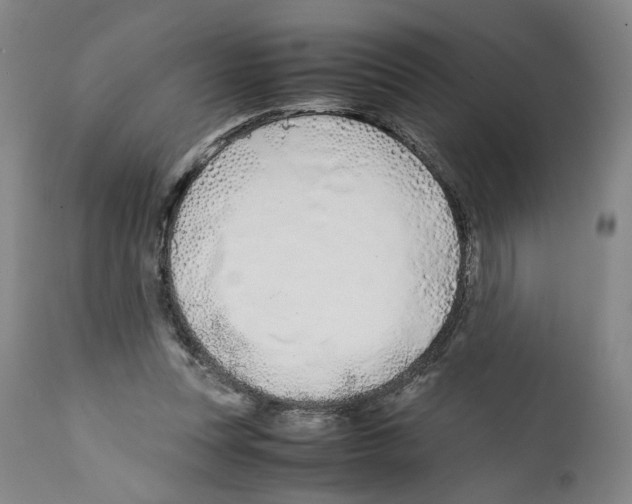 X0000112370351200909241155