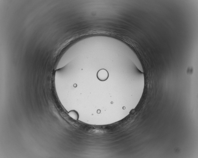 X0000112370352200909241155