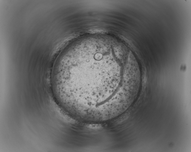 X0000112370353200909241155