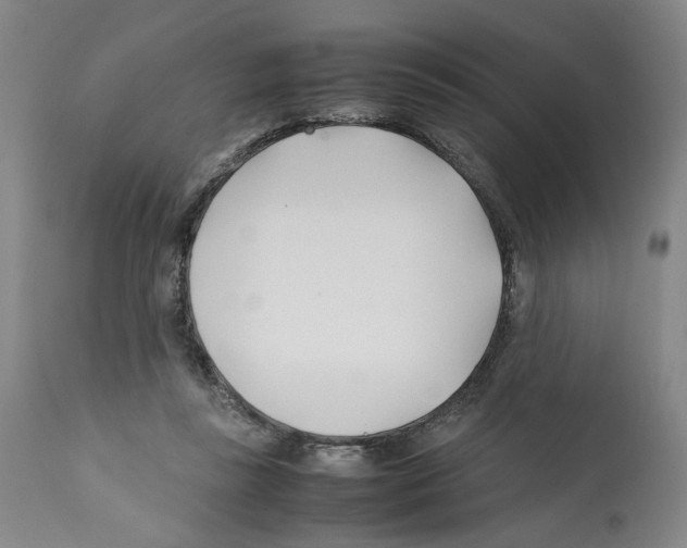 X0000112370355200909241155