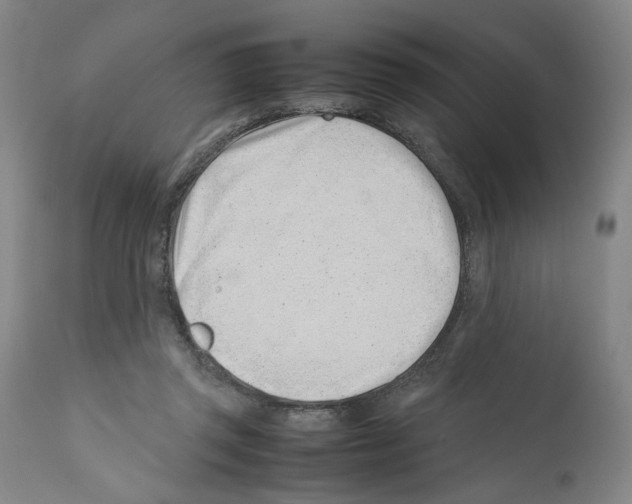 X0000112370357200909241155
