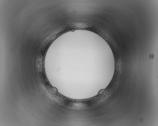 X0000112370360200909241155