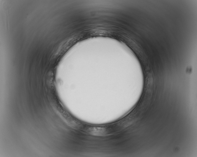 X0000112370361200909241155