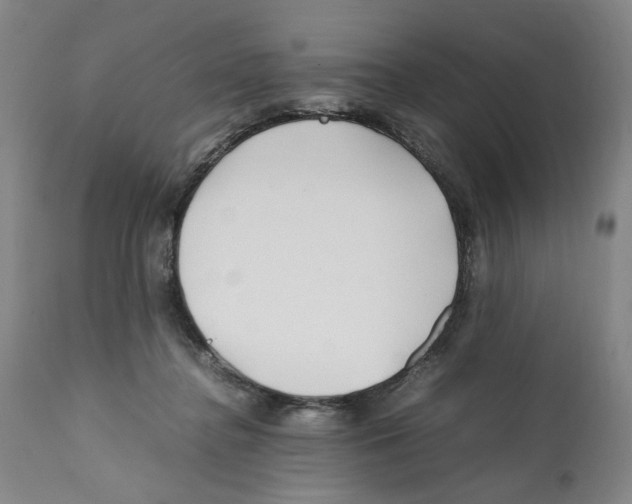 X0000112370364200909241155