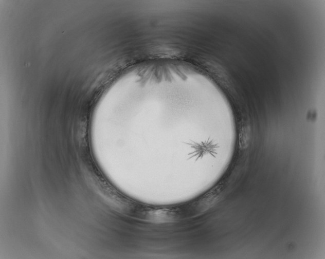 X0000112370365200909241155