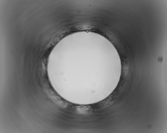 X0000112370373200909241155