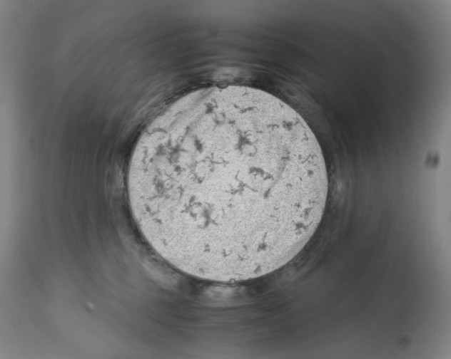 X0000112370375200909241155