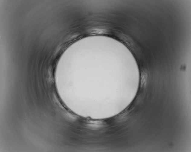 X0000112370377200909241155