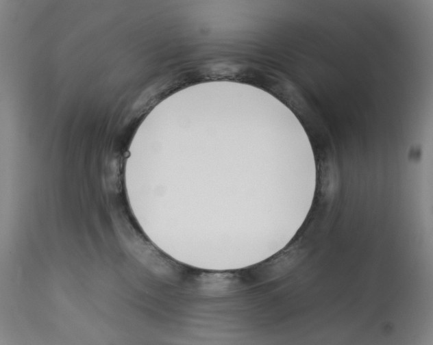 X0000112370378200909241155
