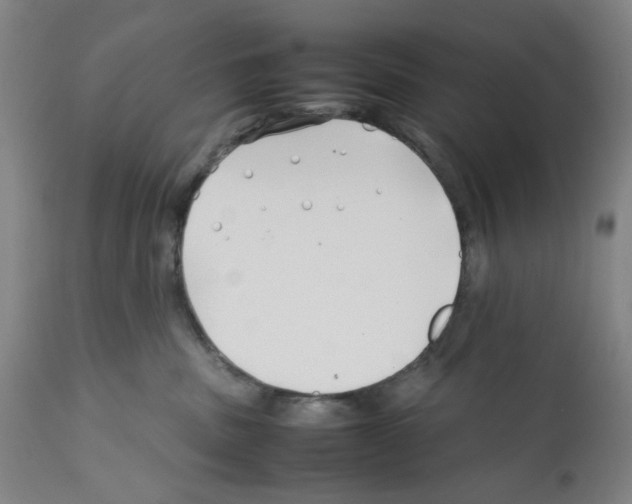 X0000112370379200909241155