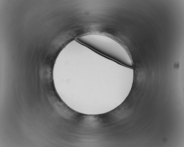 X0000112370380200909241155