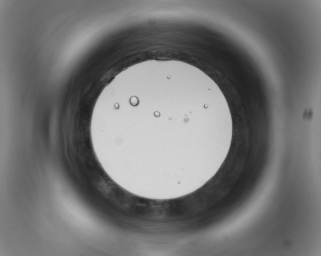 X0000112370382200909241155