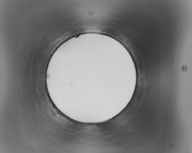 X0000112370385200909241155