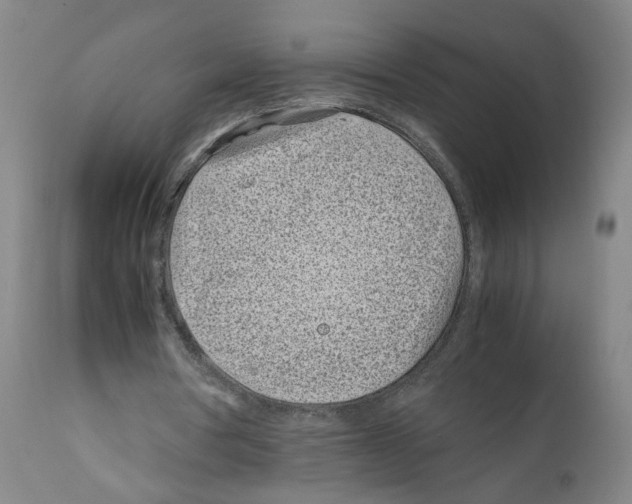 X0000112370386200909241155