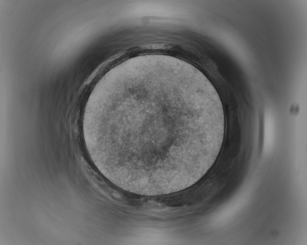 X0000112370387200909241155