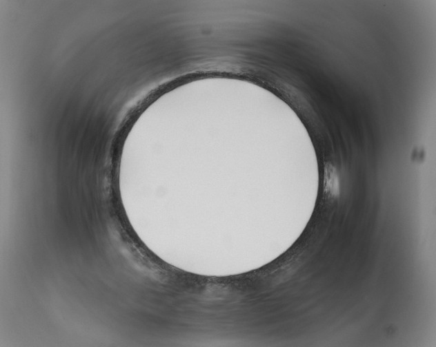 X0000112370388200909241155