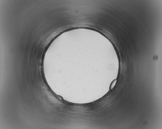 X0000112370389200909241155