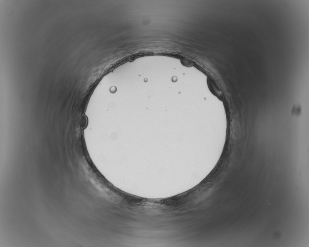 X0000112370393200909241155