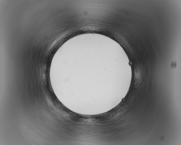 X0000112370396200909241155