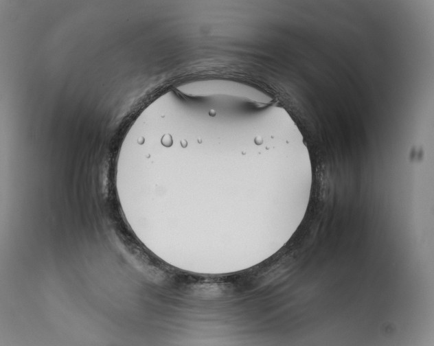 X0000112370404200909241154