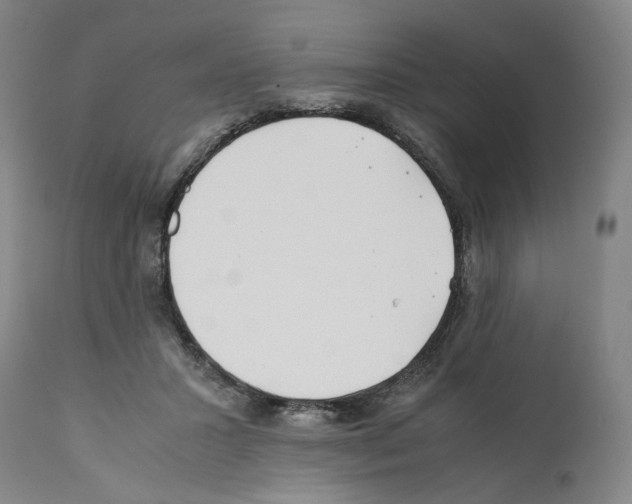 X0000112370407200909241154