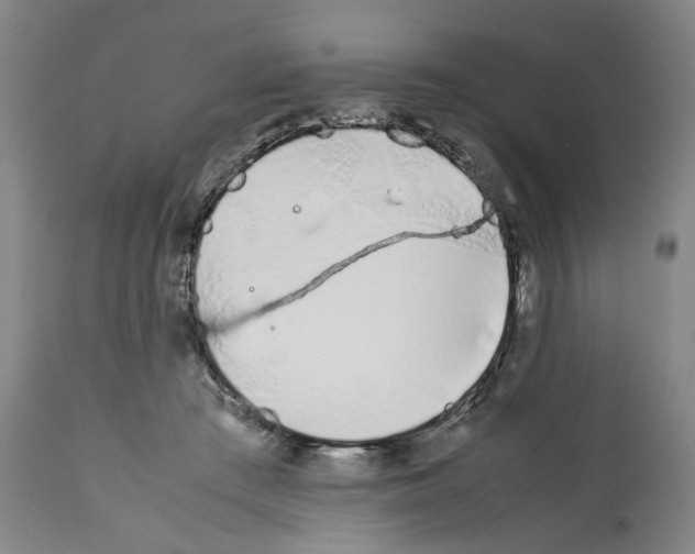 X0000112370409200909241154