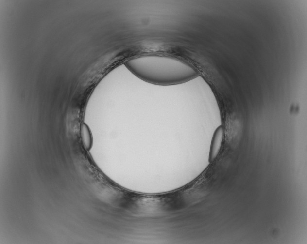 X0000112370413200909241154