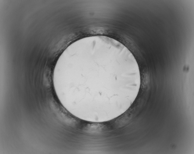 X0000112370414200909241154