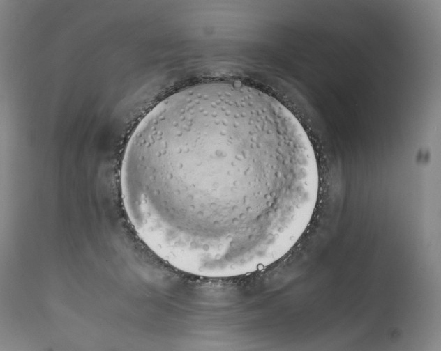 X0000112370415200909241154