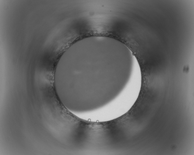 X0000112370419200909241154