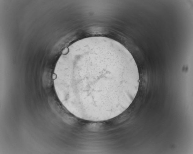 X0000112370422200909241154