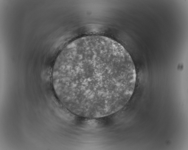 X0000112370423200909241154