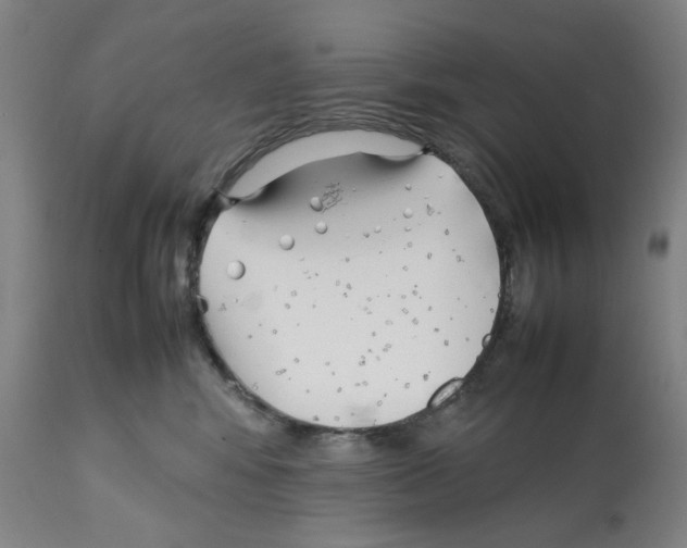 X0000112370424200909241154