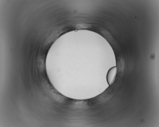 X0000112370426200909241154