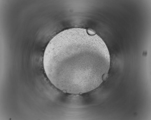 X0000112370427200909241154