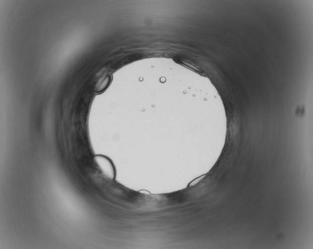 X0000112370429200909241154