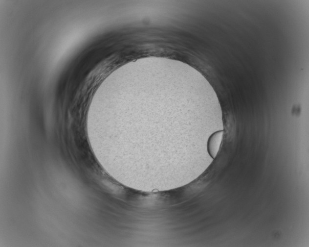 X0000112370430200909241154
