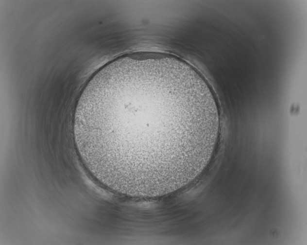 X0000112370433200909241153