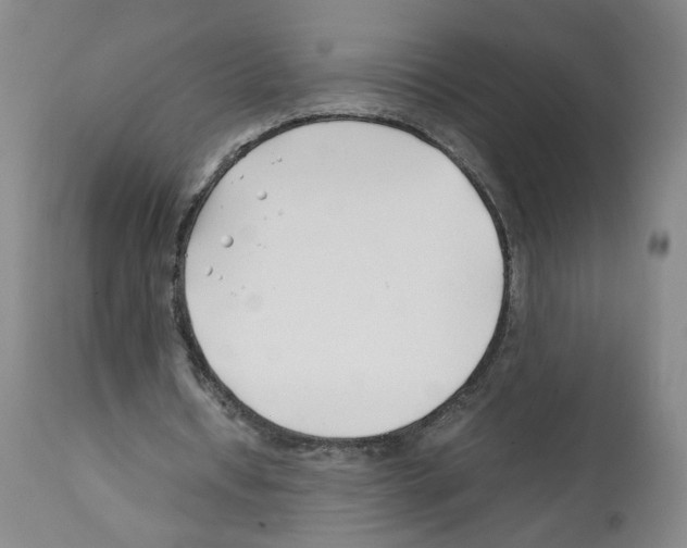 X0000112370434200909241153