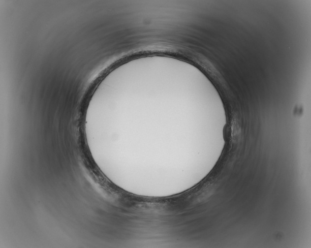 X0000112370436200909241153