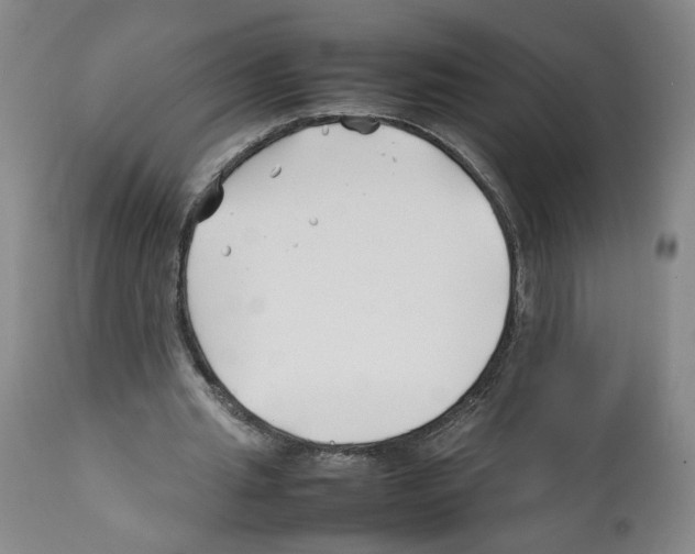 X0000112370437200909241153
