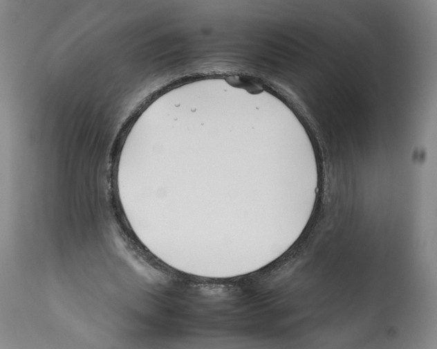X0000112370439200909241153