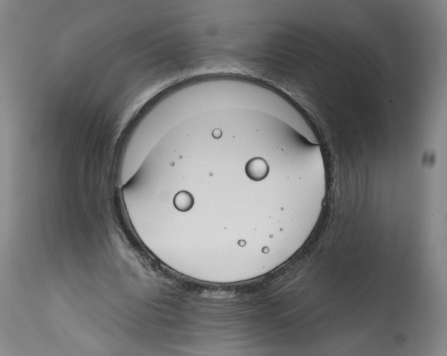 X0000112370440200909241153