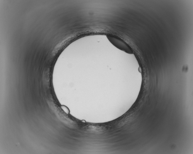 X0000112370442200909241153