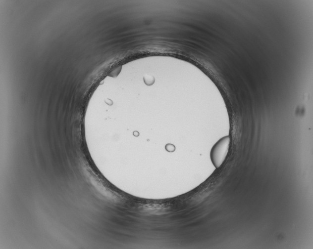 X0000112370445200909241153