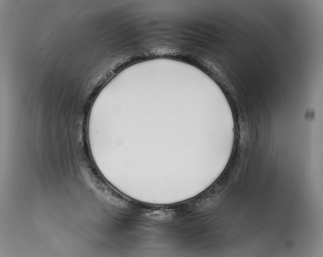 X0000112370447200909241153