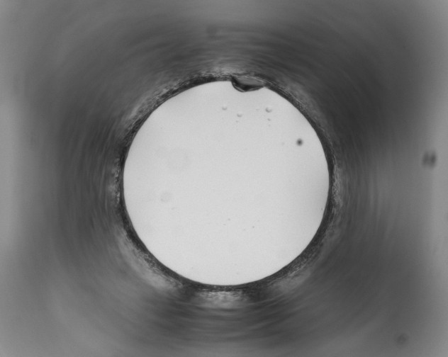 X0000112370449200909241153
