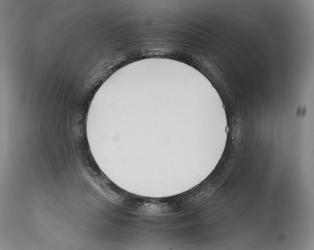 X0000112370455200909241153